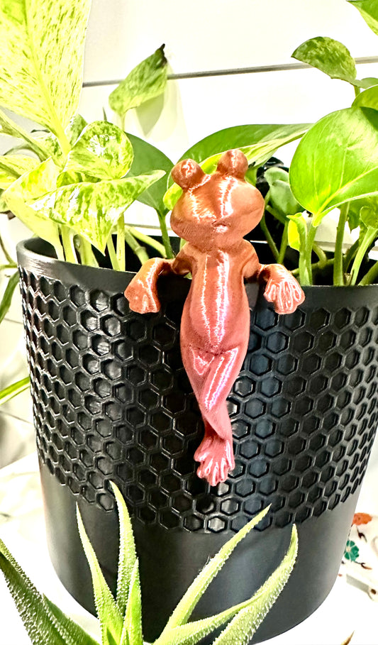 Frog Plant Buddy