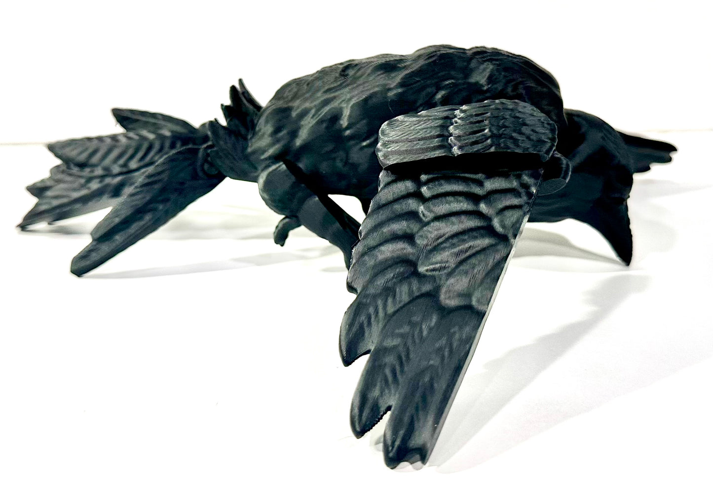 Large Articulated Raven