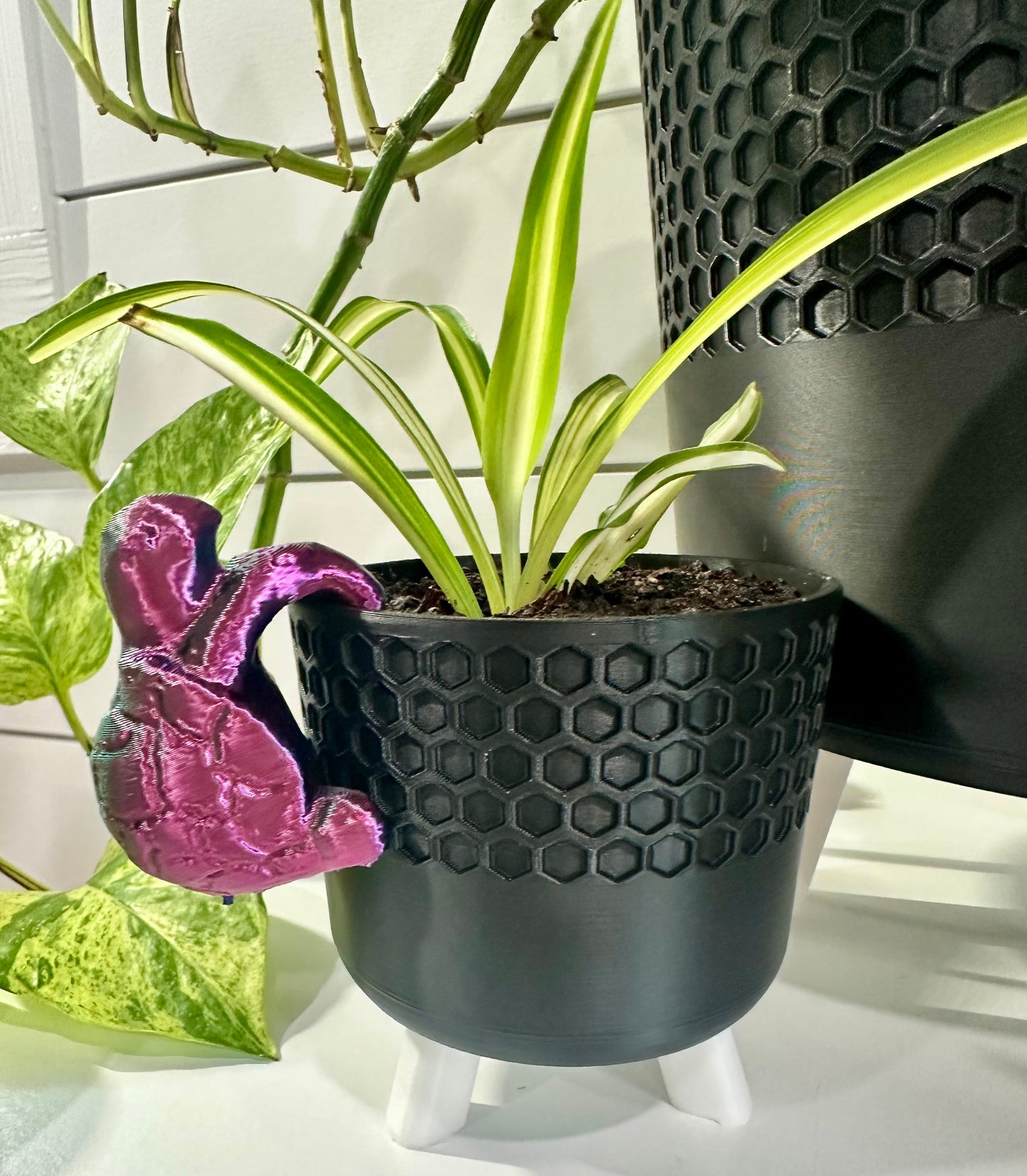 Turtle Plant Buddy