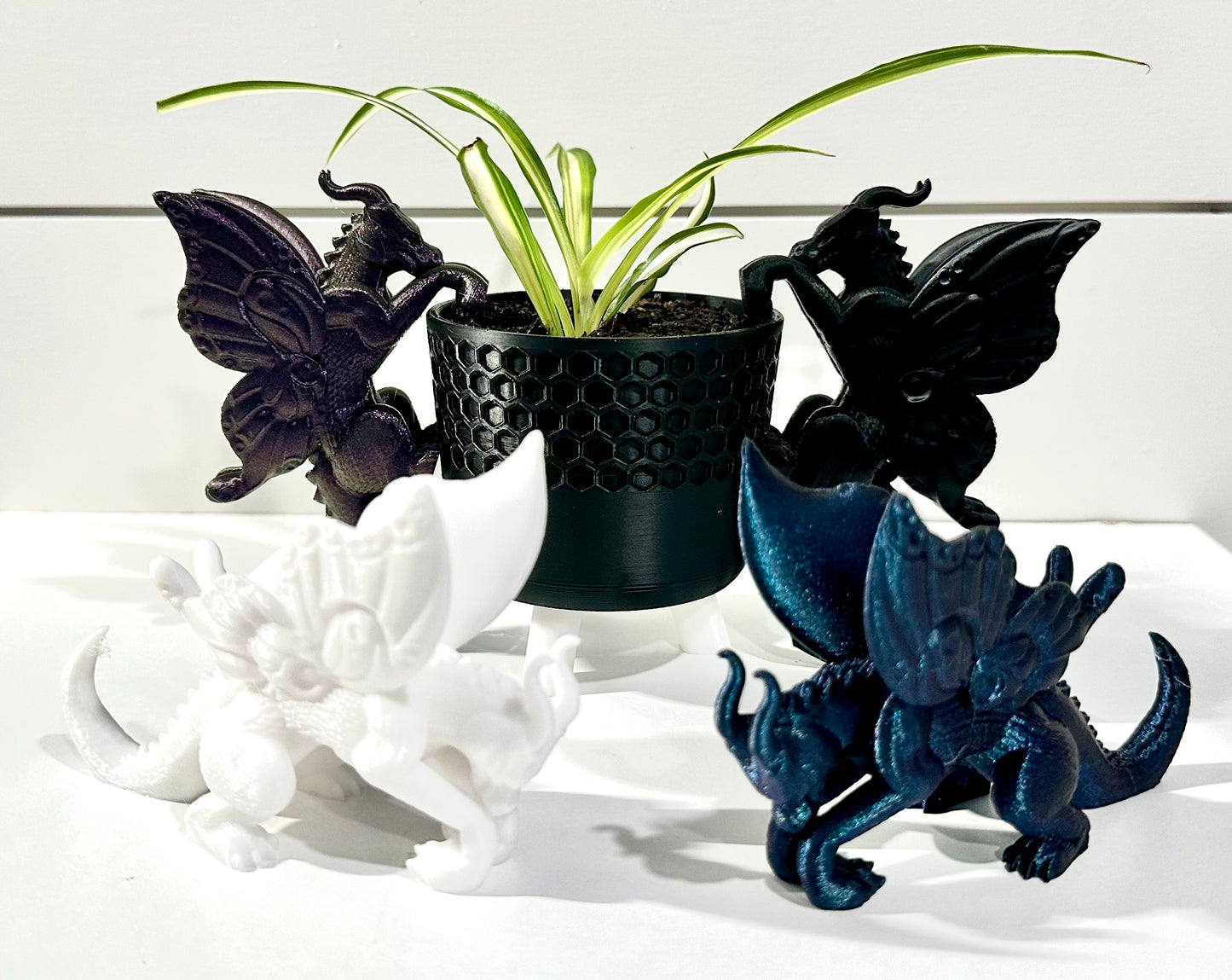 Dragon Plant Buddy