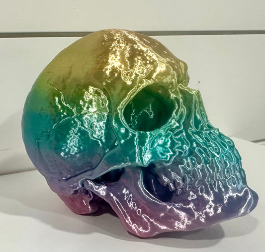 Large Skull