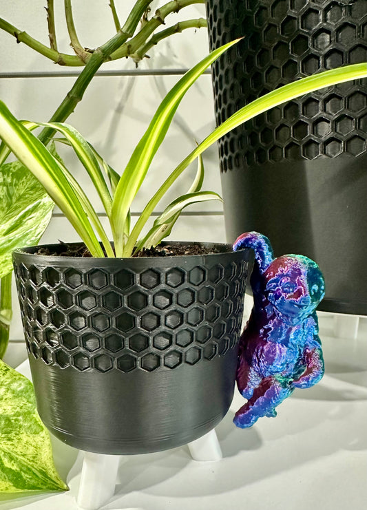 Sloth Plant Buddy