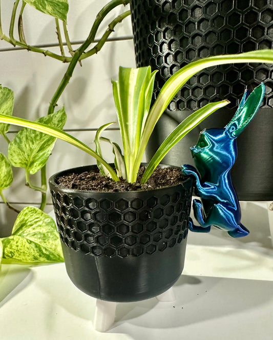 Bunny Plant Buddy