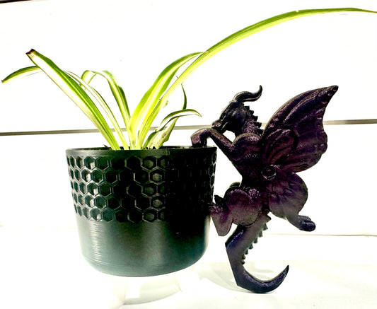 Dragon Plant Buddy