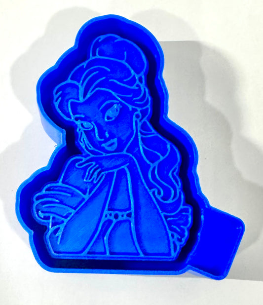 Library Princess Silicone Mold