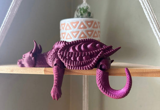 Articulated Sleepy Dragon Shelf Display