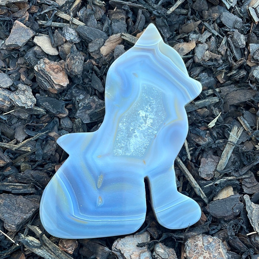 Large Druzy Agate Dog/Cat