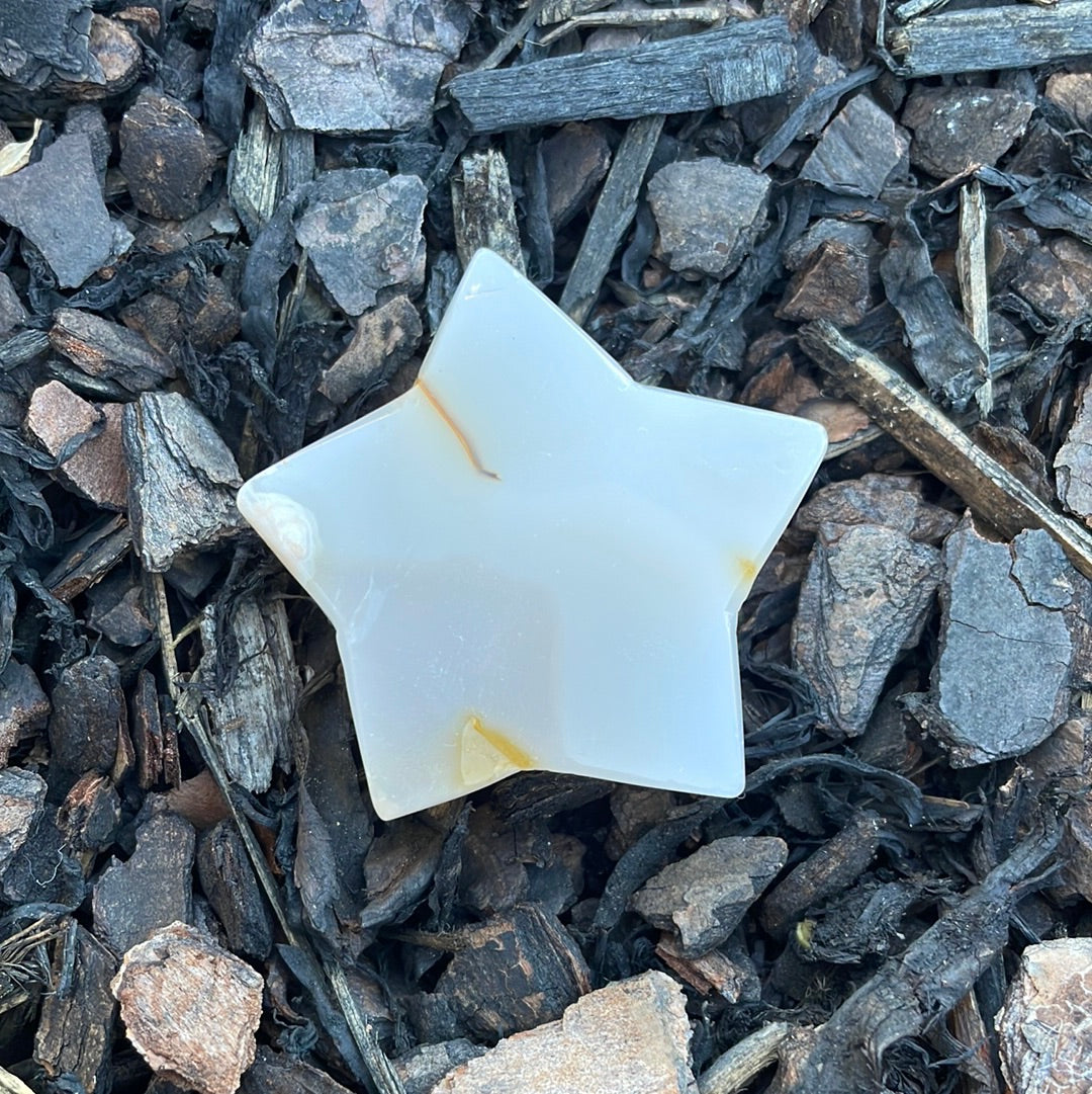 Flower Agate/Golden Healer Star