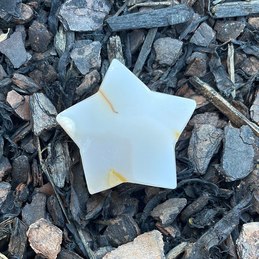Flower Agate/Golden Healer Star