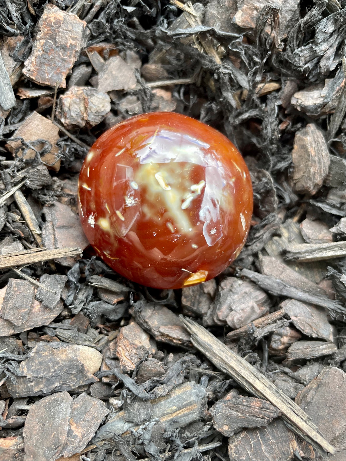 Orca/Carnelian Palm
