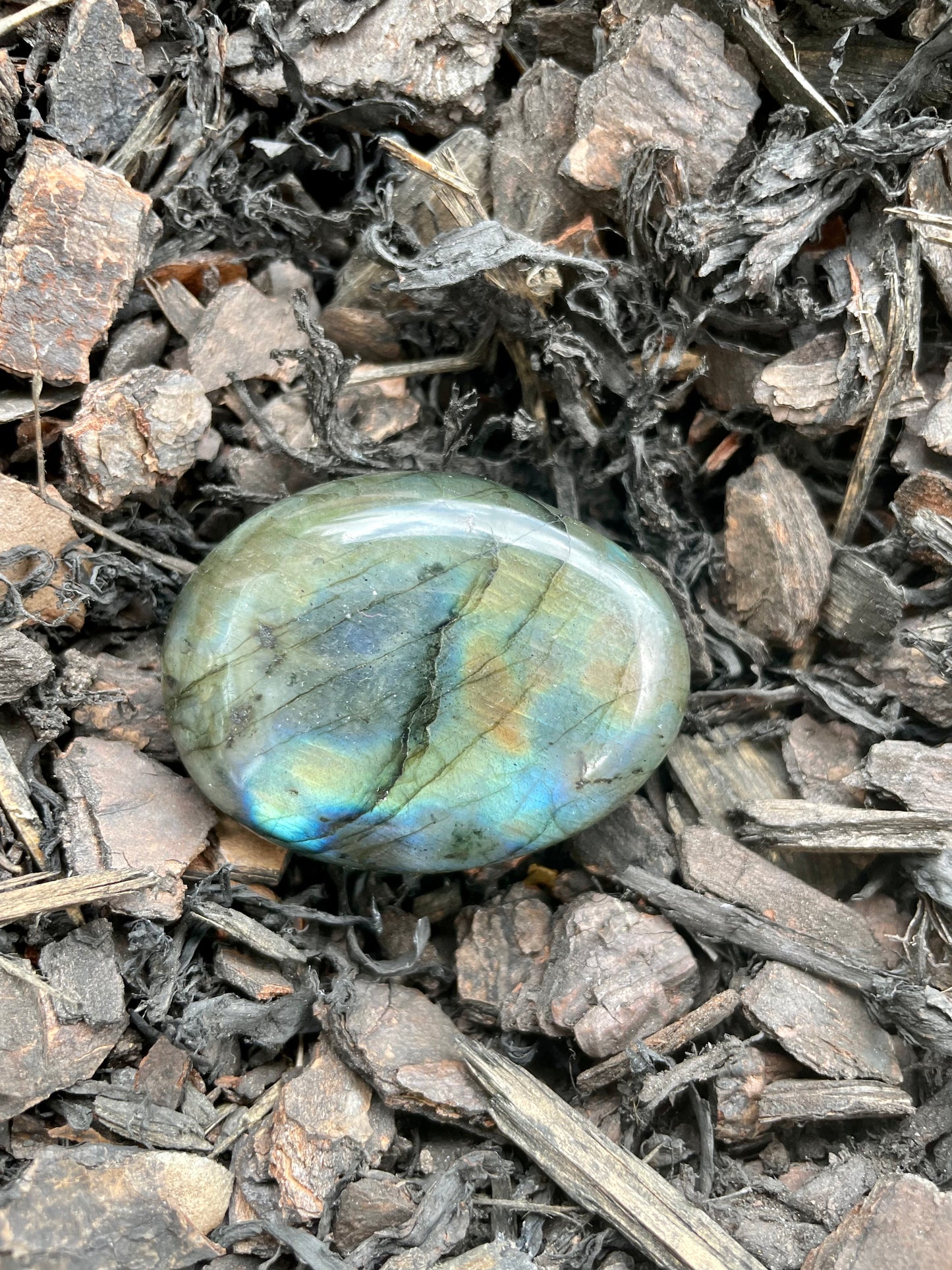 Labradorite Palm