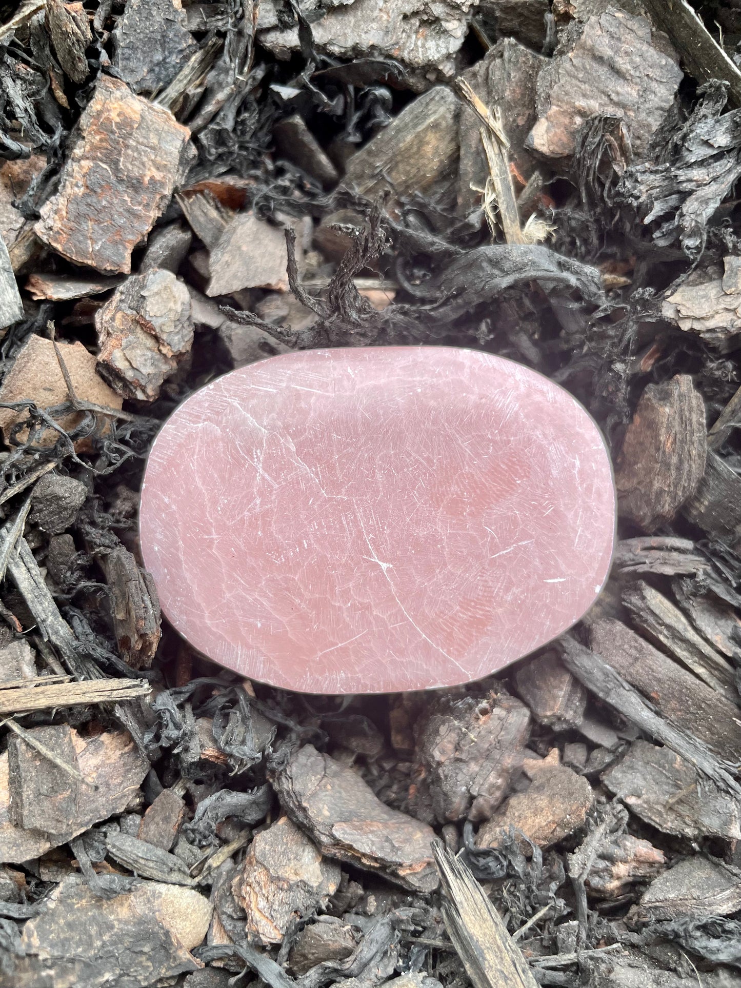 Pink Opal Palm