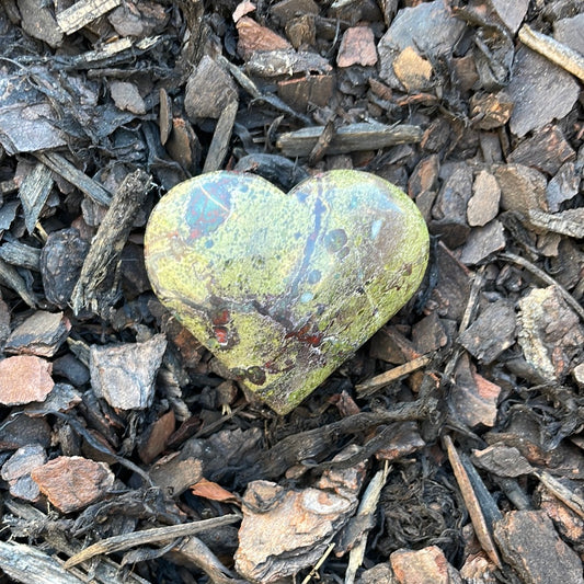 Dragons Blood Heart