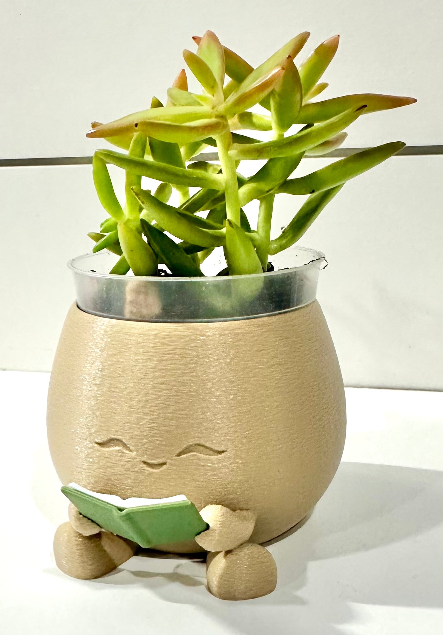 Reading Planter