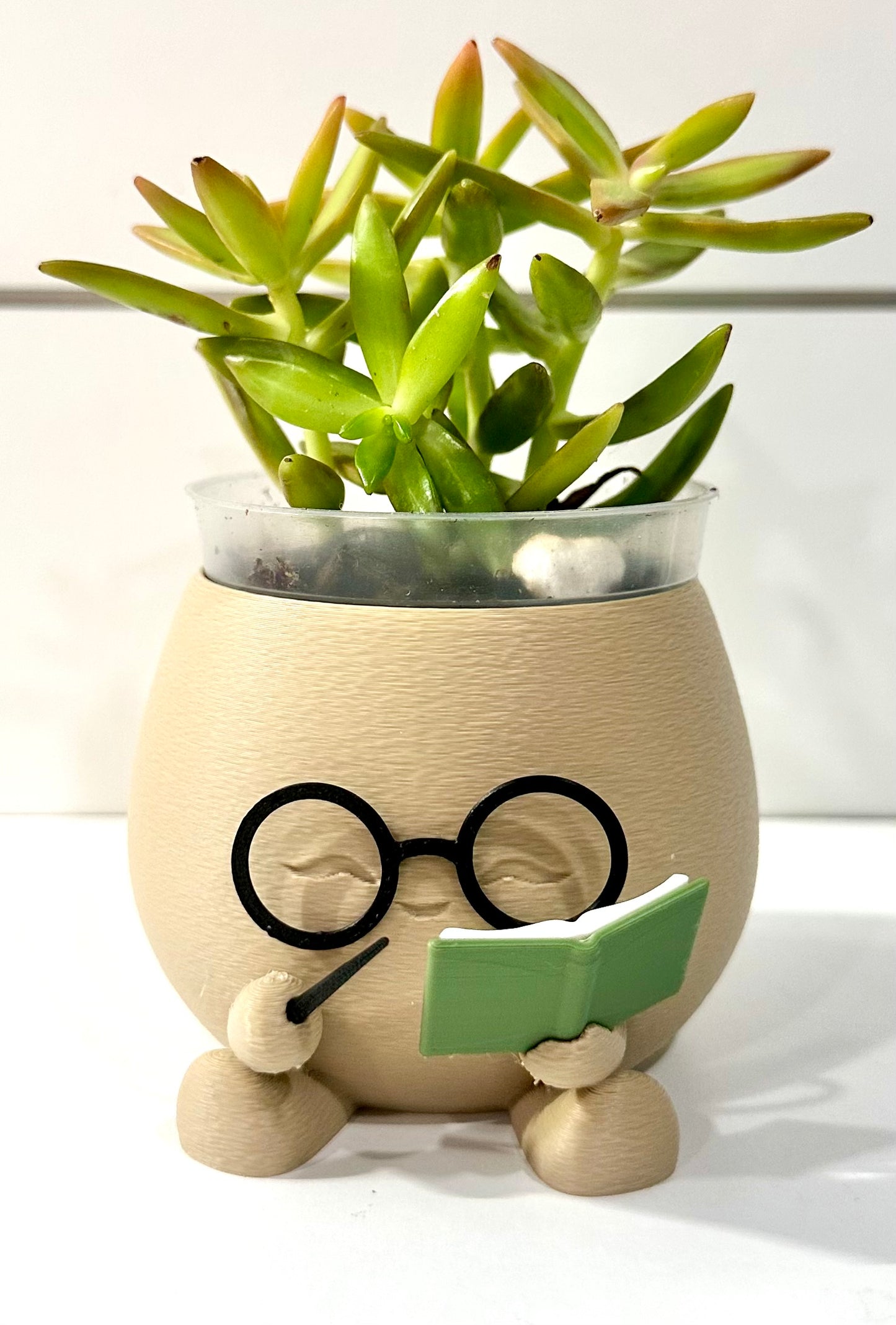Wizard Reading Planter